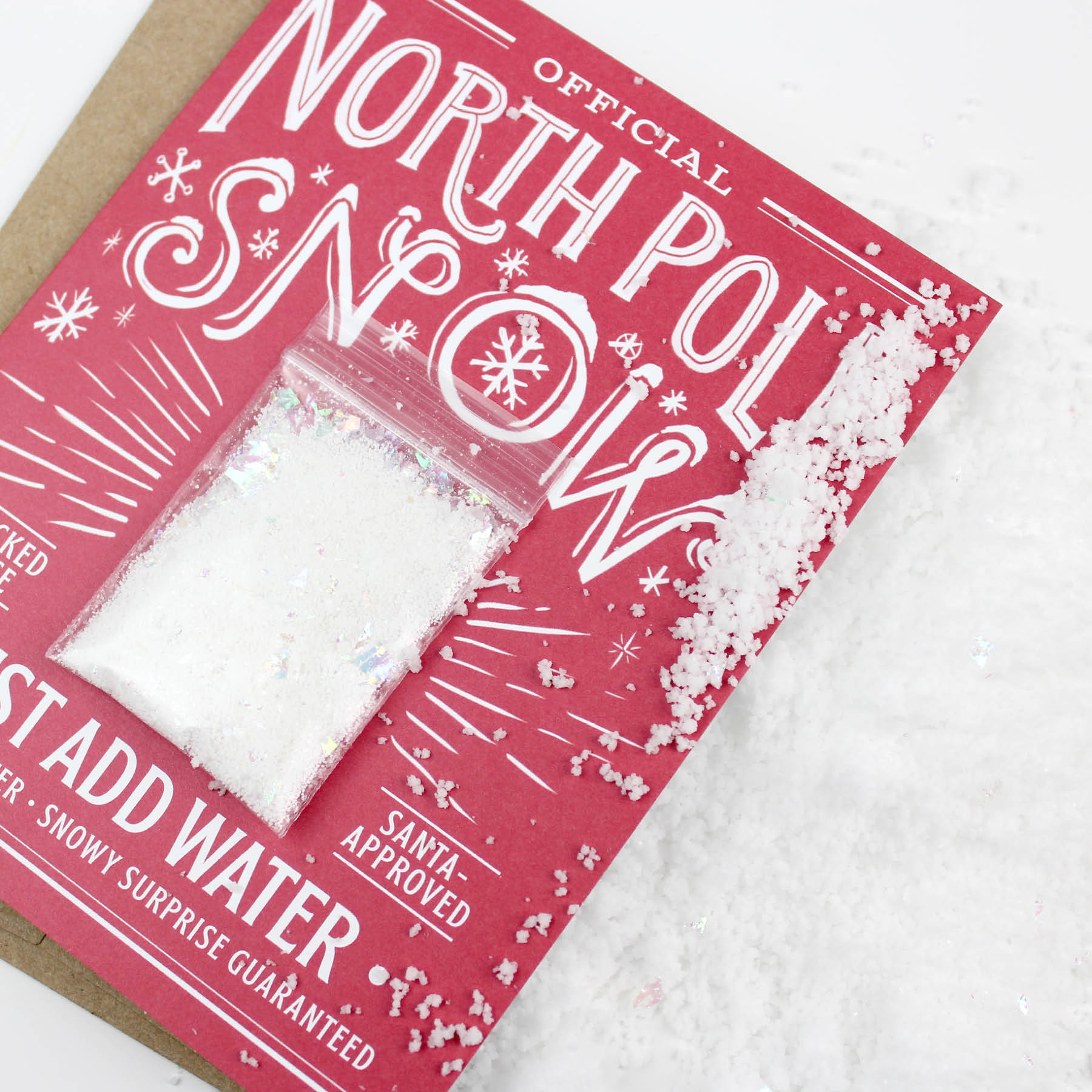 North Pole Snow Card – Mail a Snowball Greeting Card | Interactive Christmas Card Made in USA